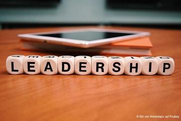 Frontend leadership